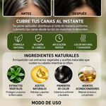 CUBRE CANAS INSTÁNTANEO PRO – Peine con Tinte Natural Fácil de Usar 🌿
