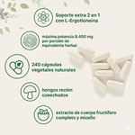 Melena de León Premium 8400mg | Enfoque, Memoria y Claridad Mental 🍄🧠